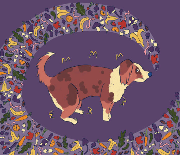 Compost Poisoning in Dogs Image